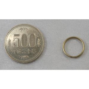 【日本製】ダブルリング BP(真鍮艶消メッキ)...の詳細画像2