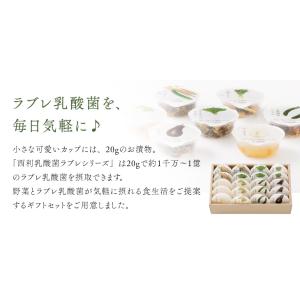 ■ポイント5倍■ お中元 2026 西利 乳酸...の詳細画像2