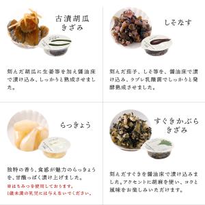 ■ポイント5倍■ お中元 2026 西利 乳酸...の詳細画像3