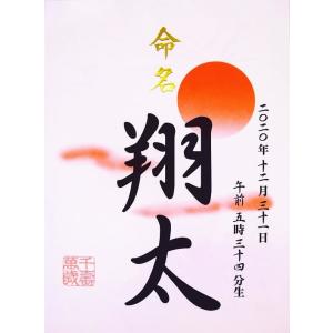 メモリアル TRU-500命名紙 904916 記録 成長 おたんじょう 日本製　｜y-oem-shop