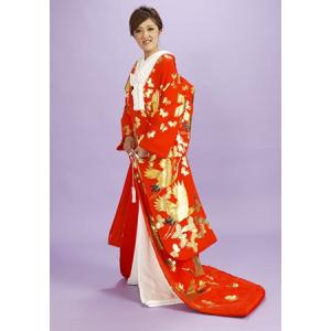 塩瀬羽二重　本手描き友禅色打掛レンタル　赤地に本金箔の鶴・蝶柄[4泊5日・小物セット付・送料無料]/結婚式 花嫁 婚礼 ブライダル ウェディング/和装の貸衣装