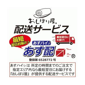 エプロン 業務用 黒 白 不織布エプロン F型...の詳細画像3