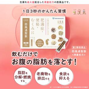 公式/第2類医薬品 生漢煎「防風通聖散」(90...の詳細画像1