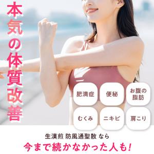 公式/第2類医薬品 生漢煎「防風通聖散」(90...の詳細画像5