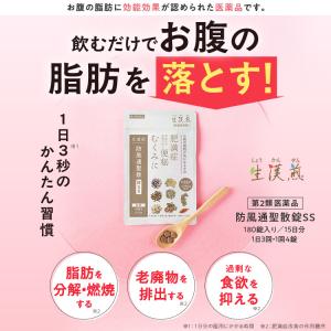 公式/第2類医薬品 生漢煎 防風通聖散錠SS(...の詳細画像1