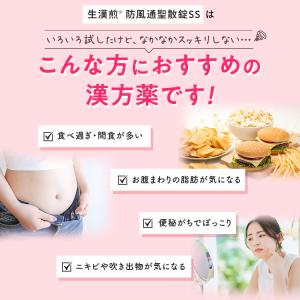 公式/第2類医薬品 生漢煎 防風通聖散錠SS(...の詳細画像4
