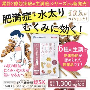 公式/第2類医薬品 生漢煎 防已黄耆湯錠SX ...の詳細画像1