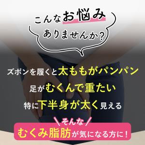 公式/第2類医薬品 生漢煎 防已黄耆湯錠SX ...の詳細画像2
