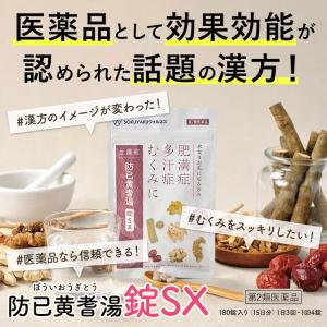公式/第2類医薬品 生漢煎 防已黄耆湯錠SX ...の詳細画像3