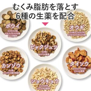 公式/第2類医薬品 生漢煎 防已黄耆湯錠SX ...の詳細画像4