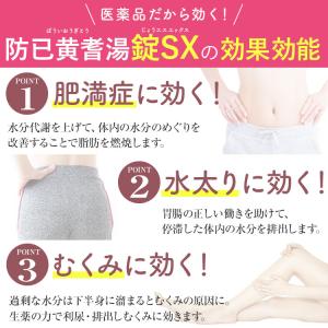 公式/第2類医薬品 生漢煎 防已黄耆湯錠SX ...の詳細画像5