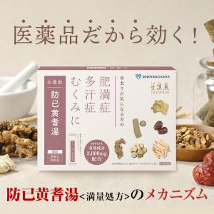 公式/第2類医薬品 生漢煎 防已黄耆湯 顆粒 ...の詳細画像4