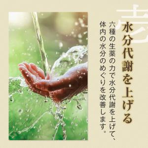公式/第2類医薬品 生漢煎 防已黄耆湯 顆粒 ...の詳細画像5