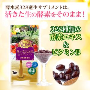 公式/酵水素328選生サプリメント 90粒 ※...の詳細画像1