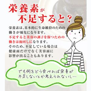 公式/酵水素328選生サプリメント 90粒 ※...の詳細画像2