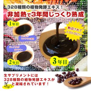 公式/酵水素328選生サプリメント 90粒 ※...の詳細画像3