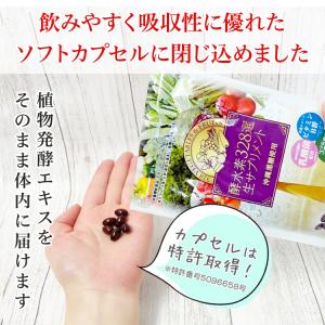 公式/酵水素328選生サプリメント 90粒 ※...の詳細画像4