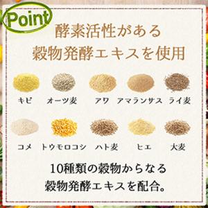 公式/酵水素328選生サプリメント 90粒 ※...の詳細画像5