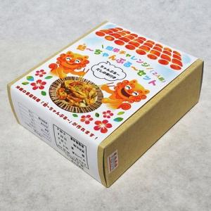 麩〜ちゃんぷるーセット かりゆし製麩