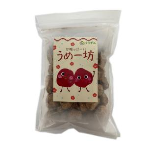 甘酸っぱーい うめー坊 300g うりずん
