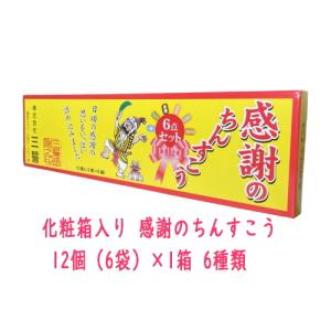 500円ポッキリ 化粧箱入り 感謝のちんすこう 12個（6袋）×1箱 6種類（プレーン、黒糖、塩、コ...