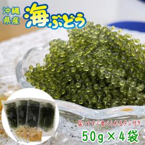 沖縄県産 感謝の海ぶどう 50g×4袋 タレ付 化粧箱なし｜y-sansei-shop