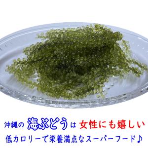 沖縄県産 感謝の海ぶどう 50g×4袋 タレ付...の詳細画像3