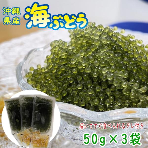 沖縄県産 感謝の海ぶどう 50g×3袋 タレ付 化粧箱なし ネコポス便送料無料 爆買