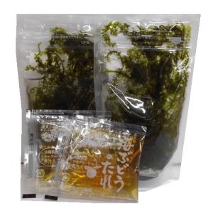 沖縄県産 感謝の海ぶどう 50g×2袋 タレ付...の詳細画像1