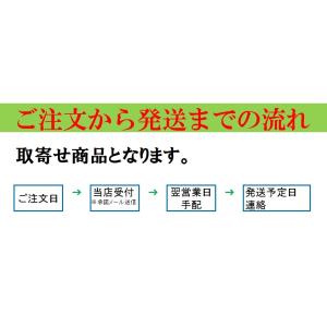 STJ マルチクリノックス【CLXMUL100...の詳細画像5