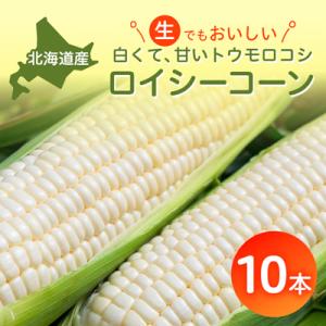 ふるさと納税 安平町 白いとうもろこしロイシーコーン　野菜ソムリエサミット金賞受賞