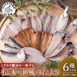 松浦・潮風のたより