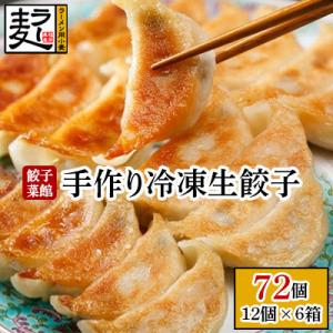 餃子菜館の手作り冷凍生餃子【12個×6箱】72個セット