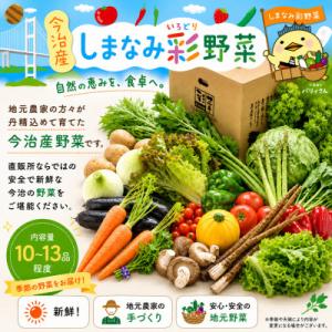 しまなみ彩野菜セット(今治産野菜の詰合せ)【VB00100】