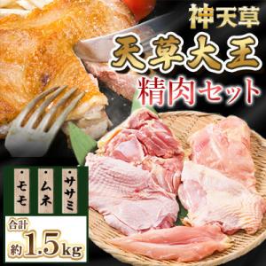 天草大王精肉セット