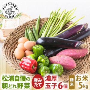 道の駅松浦海のふるさと館『旬のお野菜+産みたて濃厚玉子6個+お米5kg』の大満足セット!