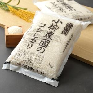 ふるさと納税 長野県 【真空パックで鮮度保持】特別栽培米コシヒカリ2kg×3