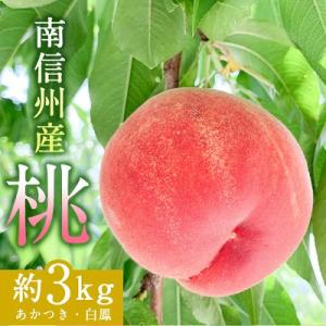 ふるさと納税 飯田市 南信州産「桃」約3kg〈あかつき・白鳳〉　【2024年7月より順次発送】