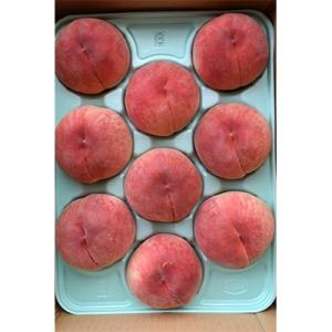 ふるさと納税 飯田市 南信州産「桃」約3kg〈...の詳細画像2