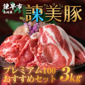 ふるさと納税 諫早市 諌早平野の米で育てた諫美豚(かんびとん)プレミアムおすすめセット3kg