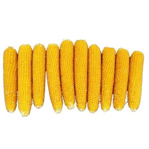 アイテムID:365284の画像1枚目