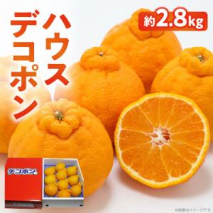 ふるさと納税 高松市 高松産季節の果物【ハウスデコポン】約2.8kg