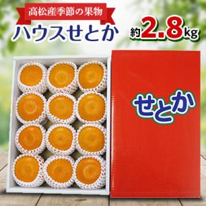 【先行受付2027年】高松産季節の果物【ハウスせとか】約2.8kg