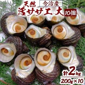 23年1月 ふるさと納税でもらえるサザエの還元率 コスパランキング Gooふるさと納税