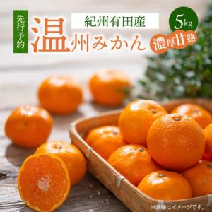 【2026年11月中旬より発送】紀州有田産 濃厚完熟温州みかん　2S～Lサイズ混合　5kg