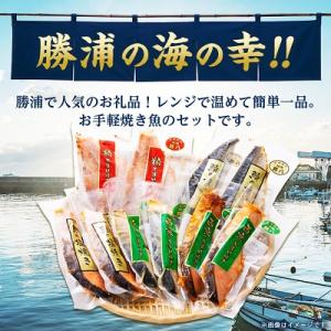ふるさと納税 勝浦市 焼き魚セットの詳細画像1