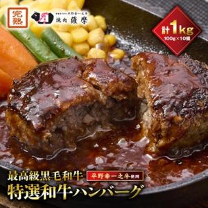 特選和牛〈焼肉薩摩 完熟平野幸一之牛〉ハンバーグ10個