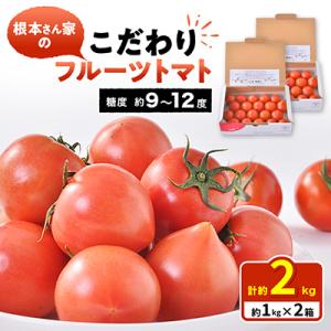 根本さん家のこだわりフルーツトマト2箱