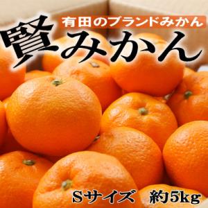「先行受付2026年11月から発送」[秀品]和歌山有田ブランド「賢みかん」約5kg(Sサイズ)