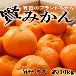 「先行受付2026年11月から発送」[秀品]和歌山有田ブランド「賢みかん」約10kg(Mサイズ)